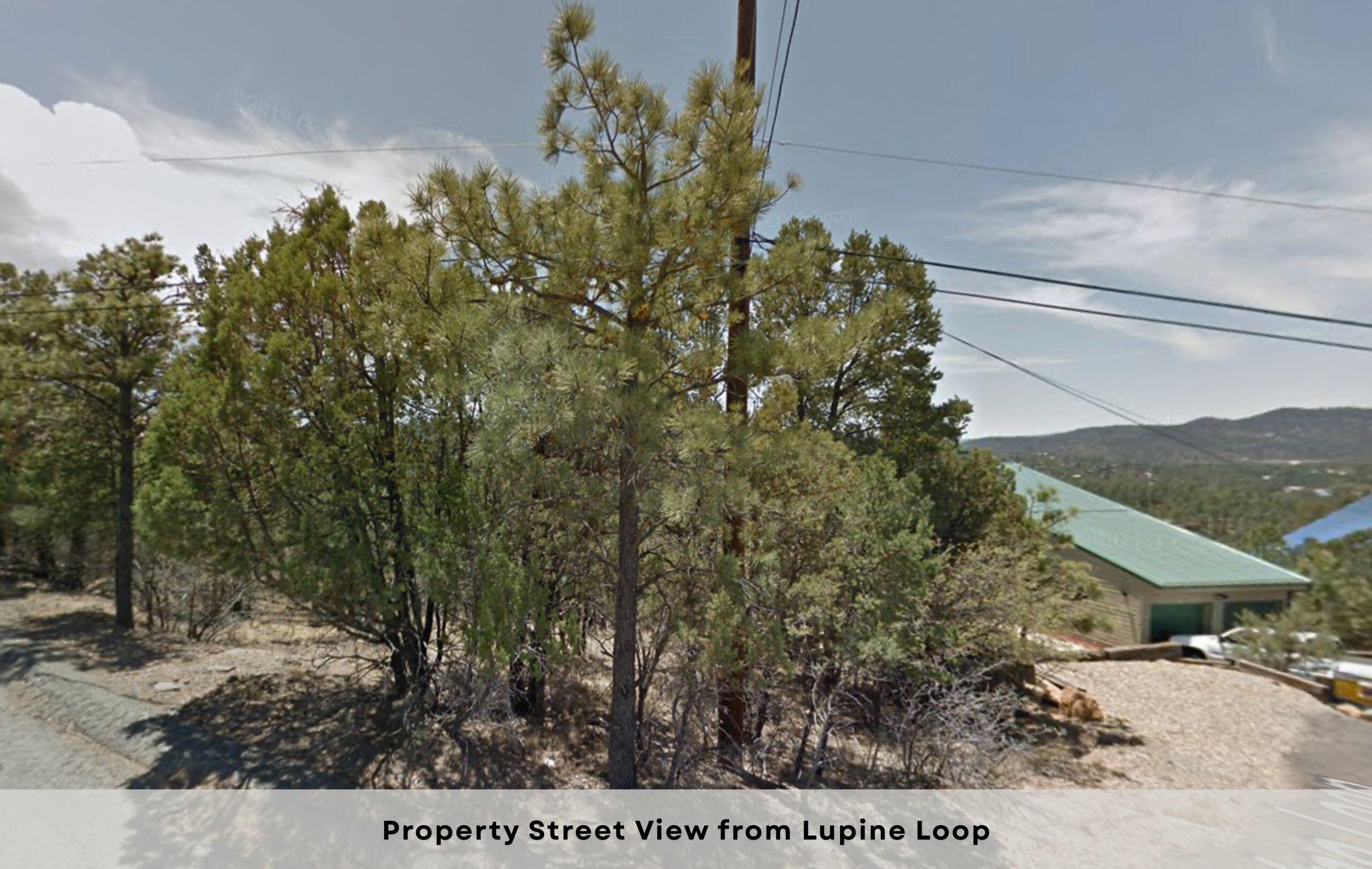 106 Lupine Loop