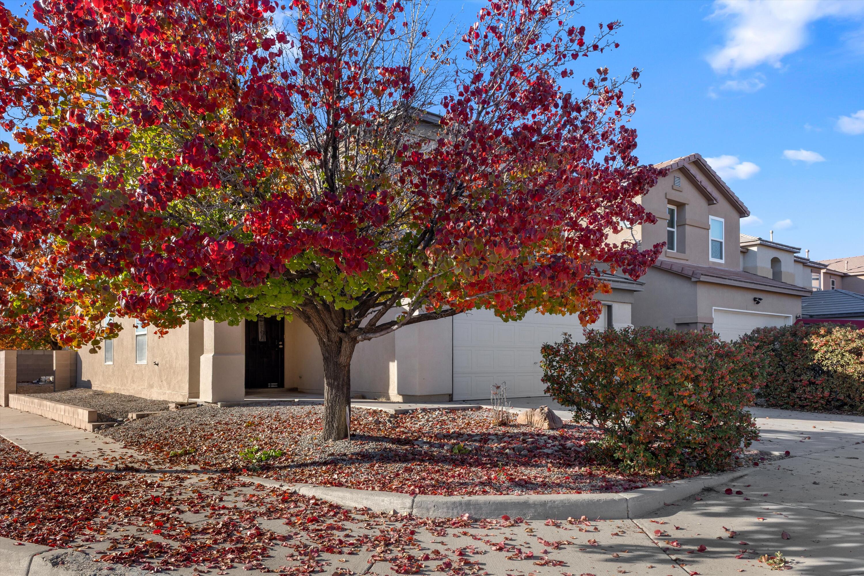 7701 La Brea Street NE