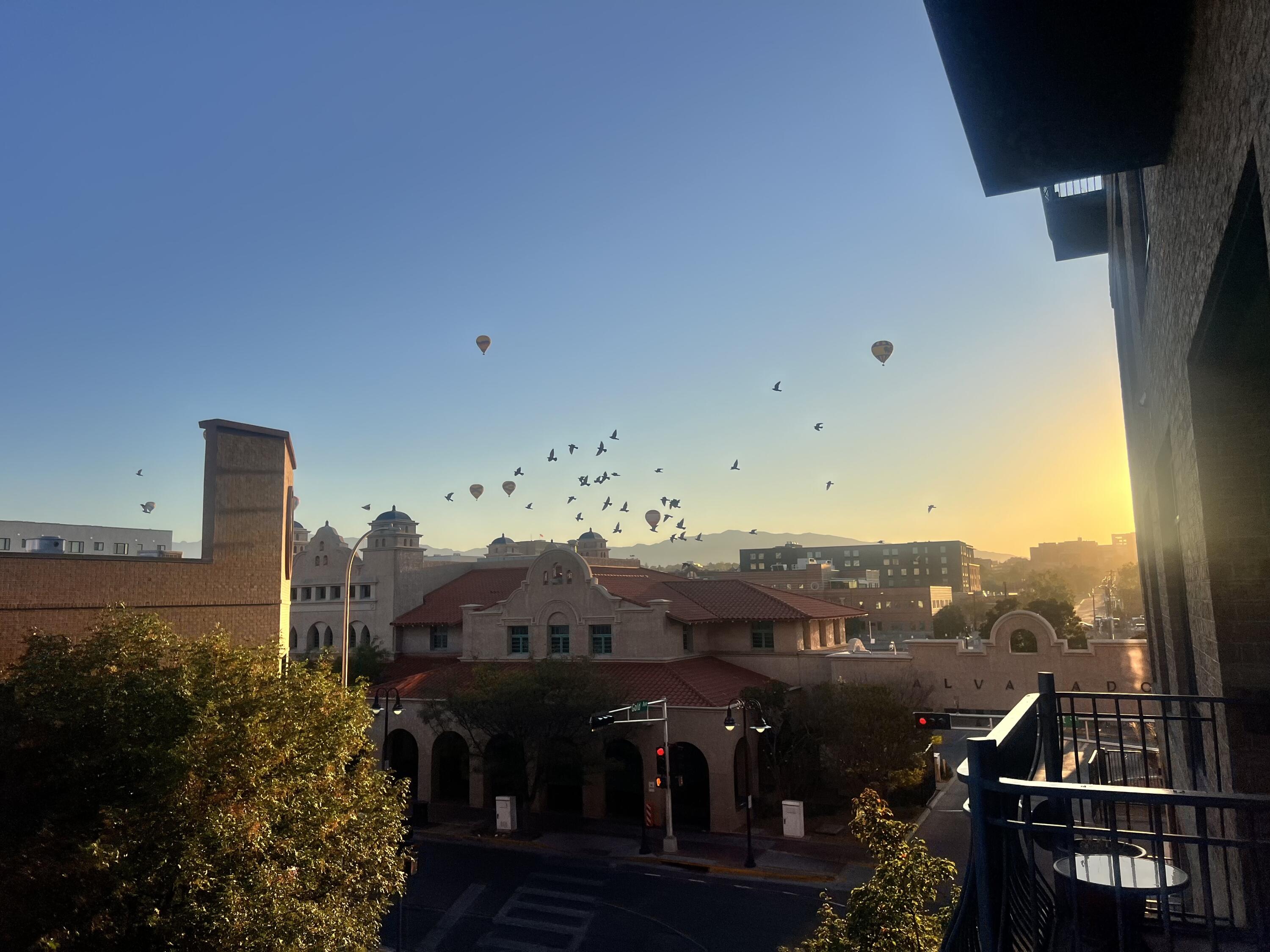 100 Gold Avenue SW APT 303