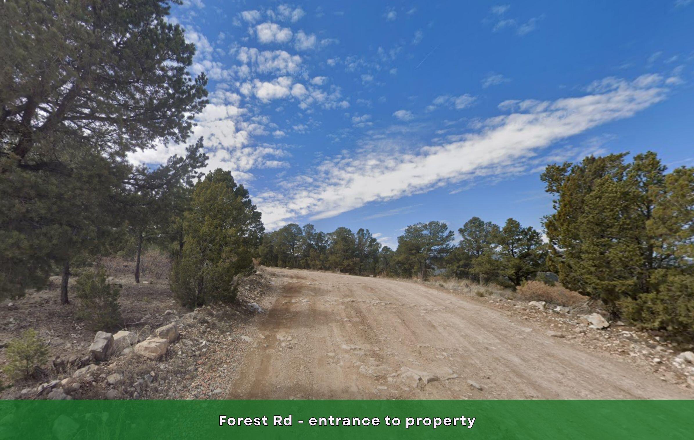 101 Forest Road