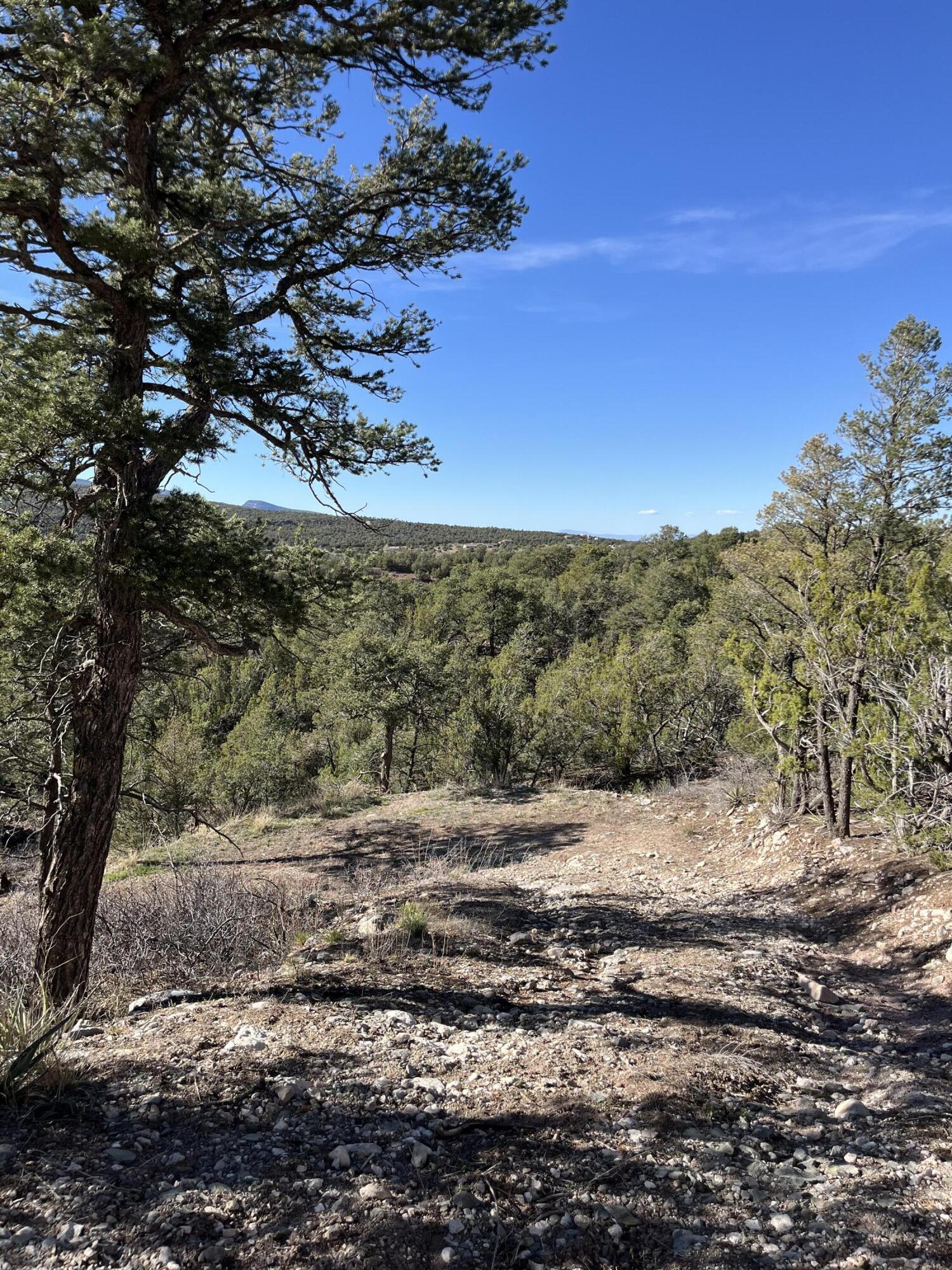 31 Camino Del Poniente