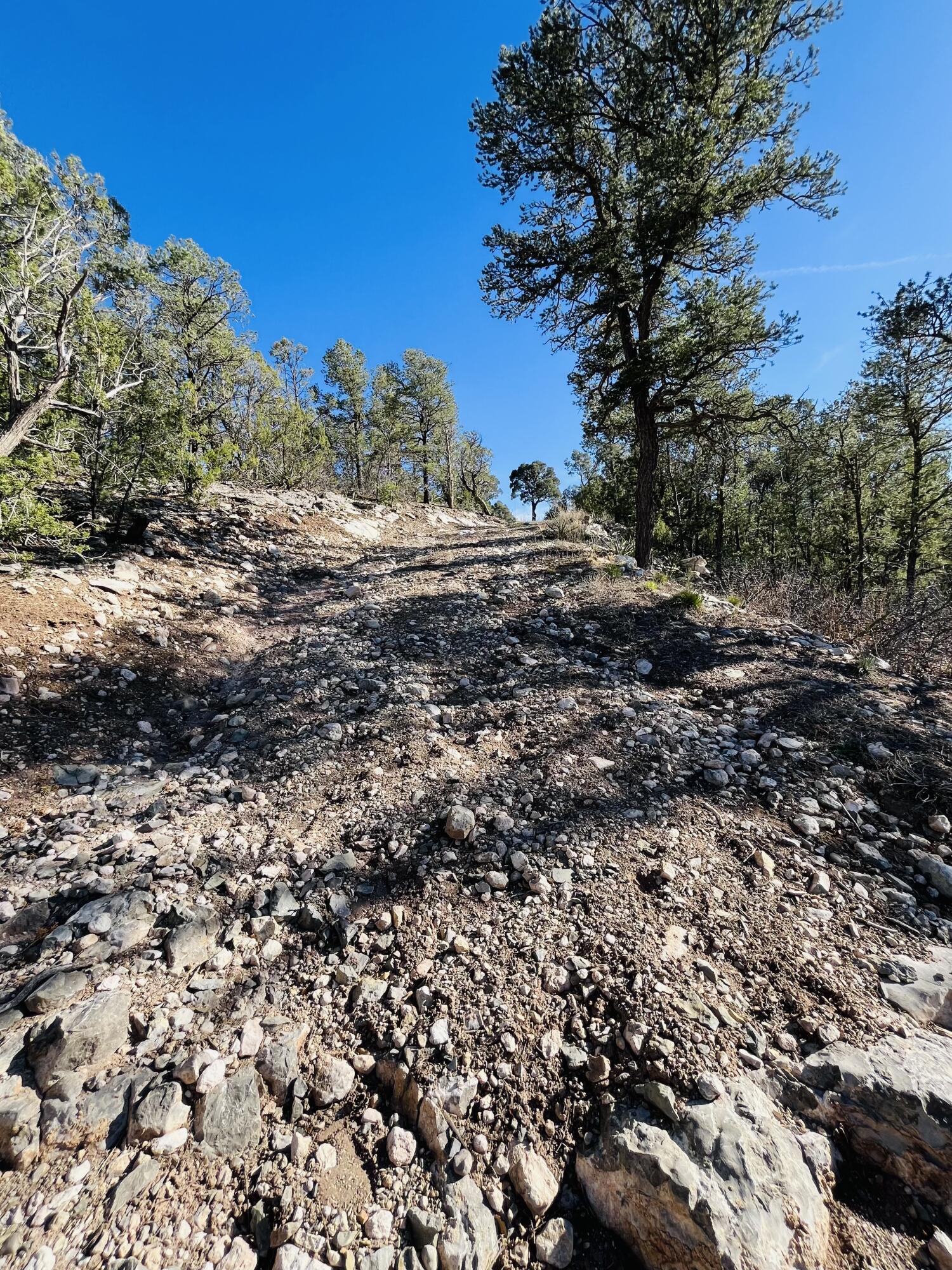 31 Camino Del Poniente