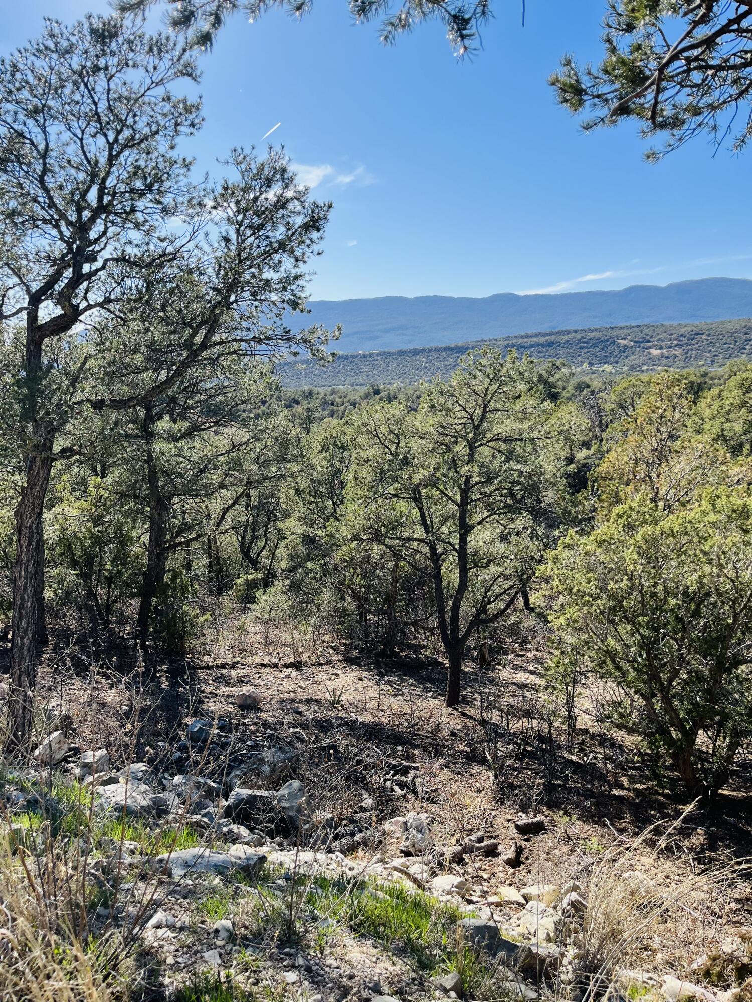 31 Camino Del Poniente