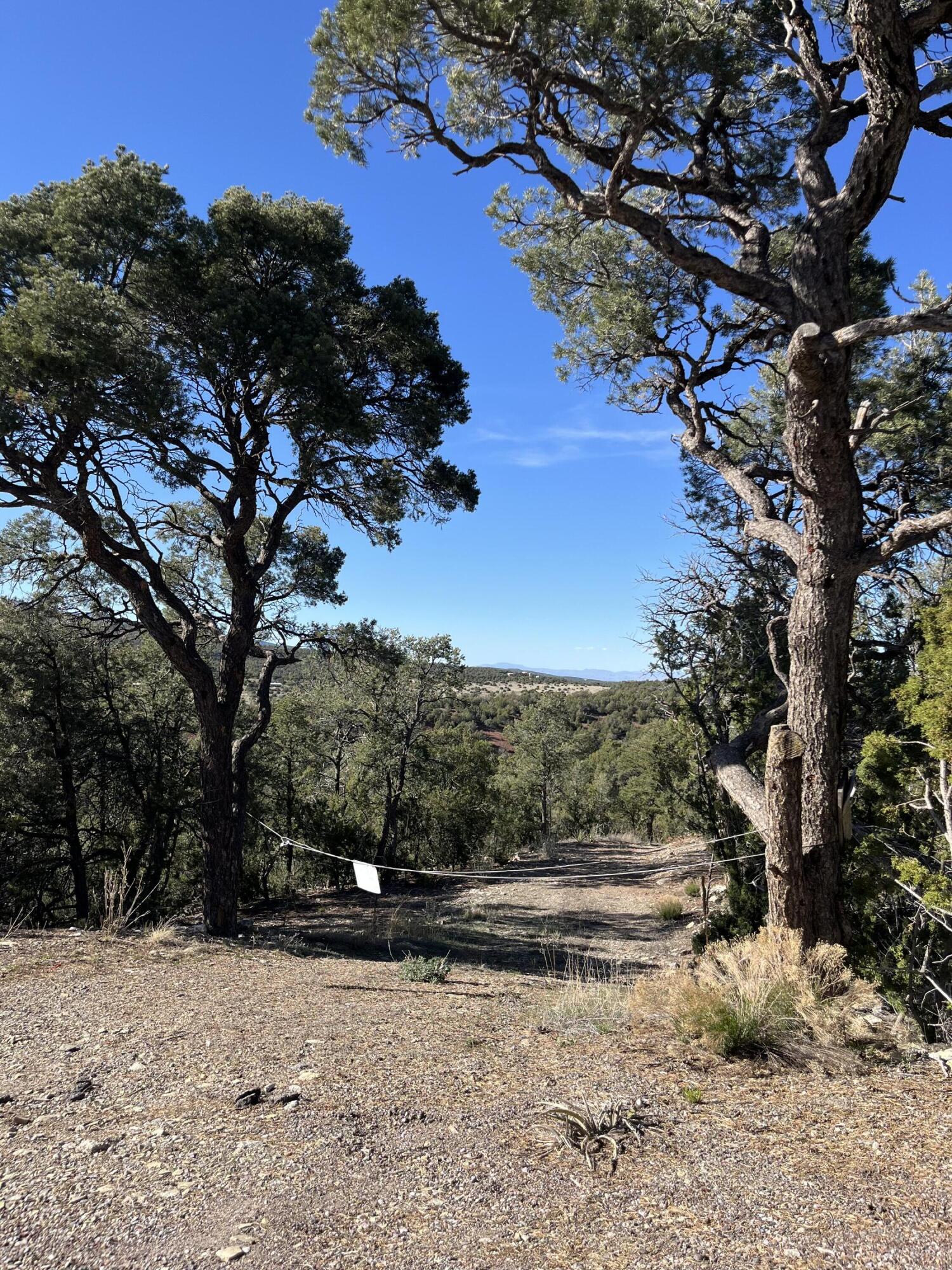31 Camino Del Poniente