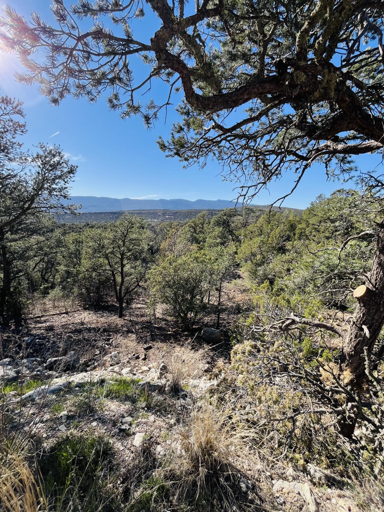 31 Camino Del Poniente
