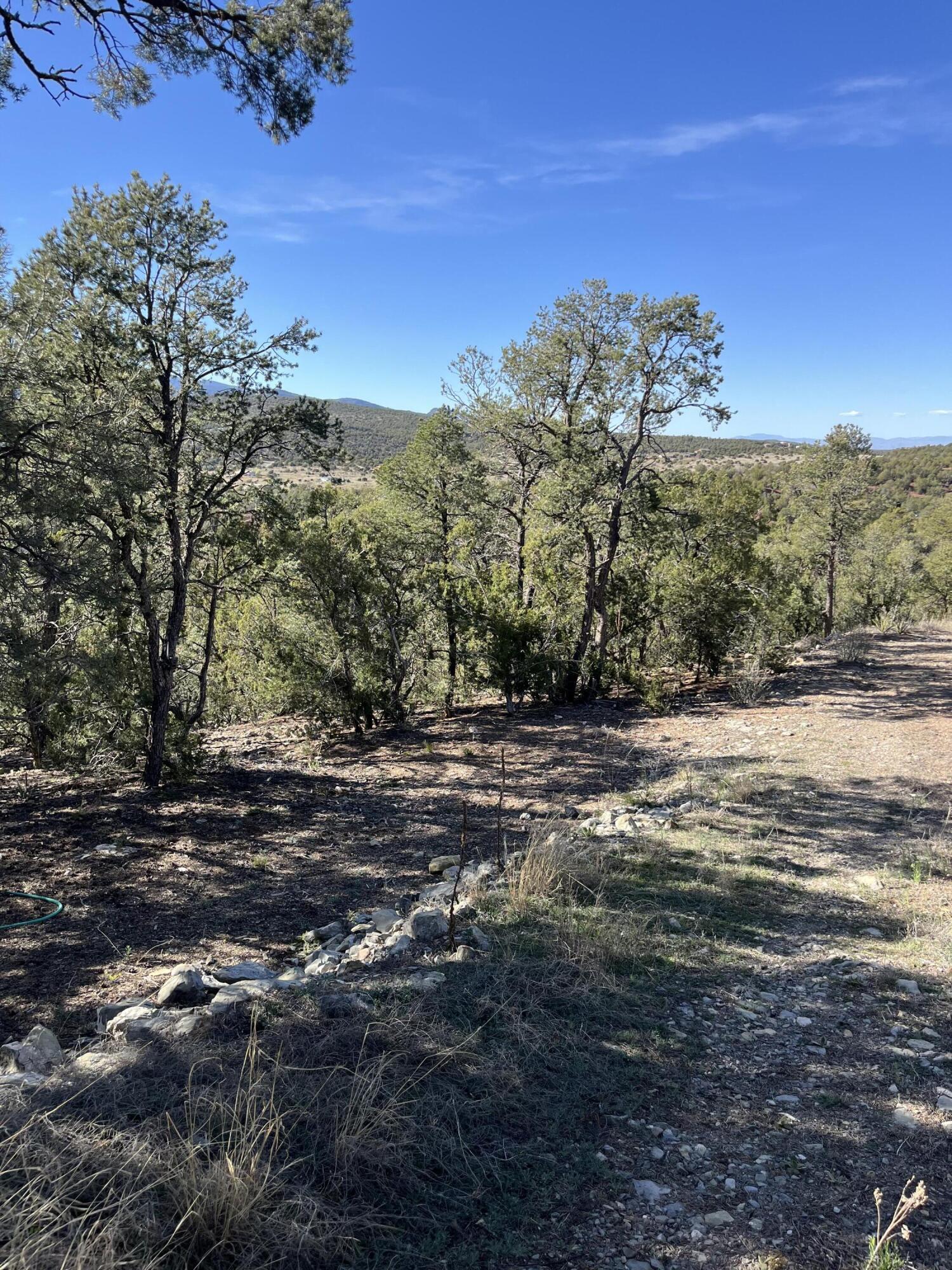 31 Camino Del Poniente