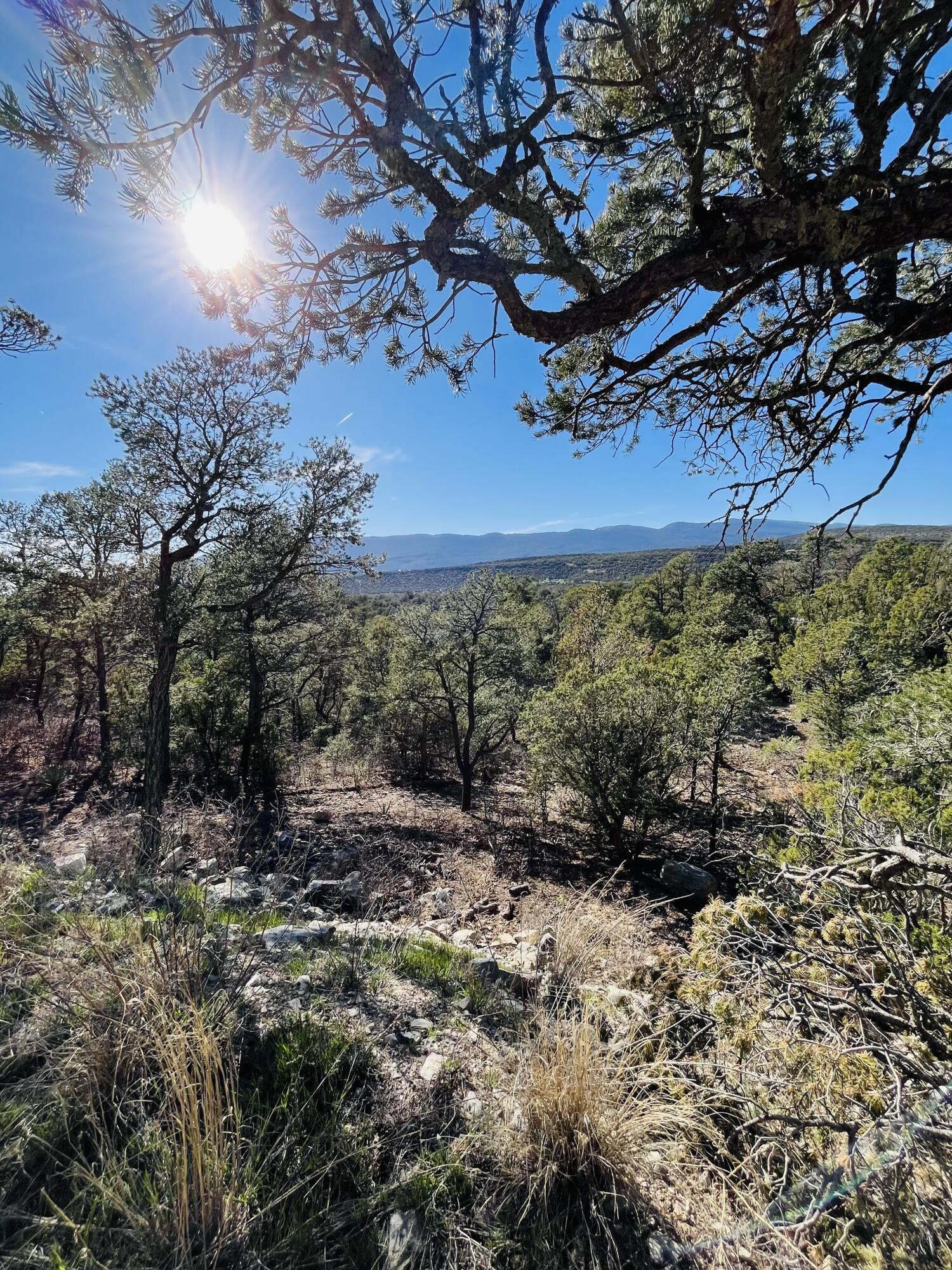 31 Camino Del Poniente