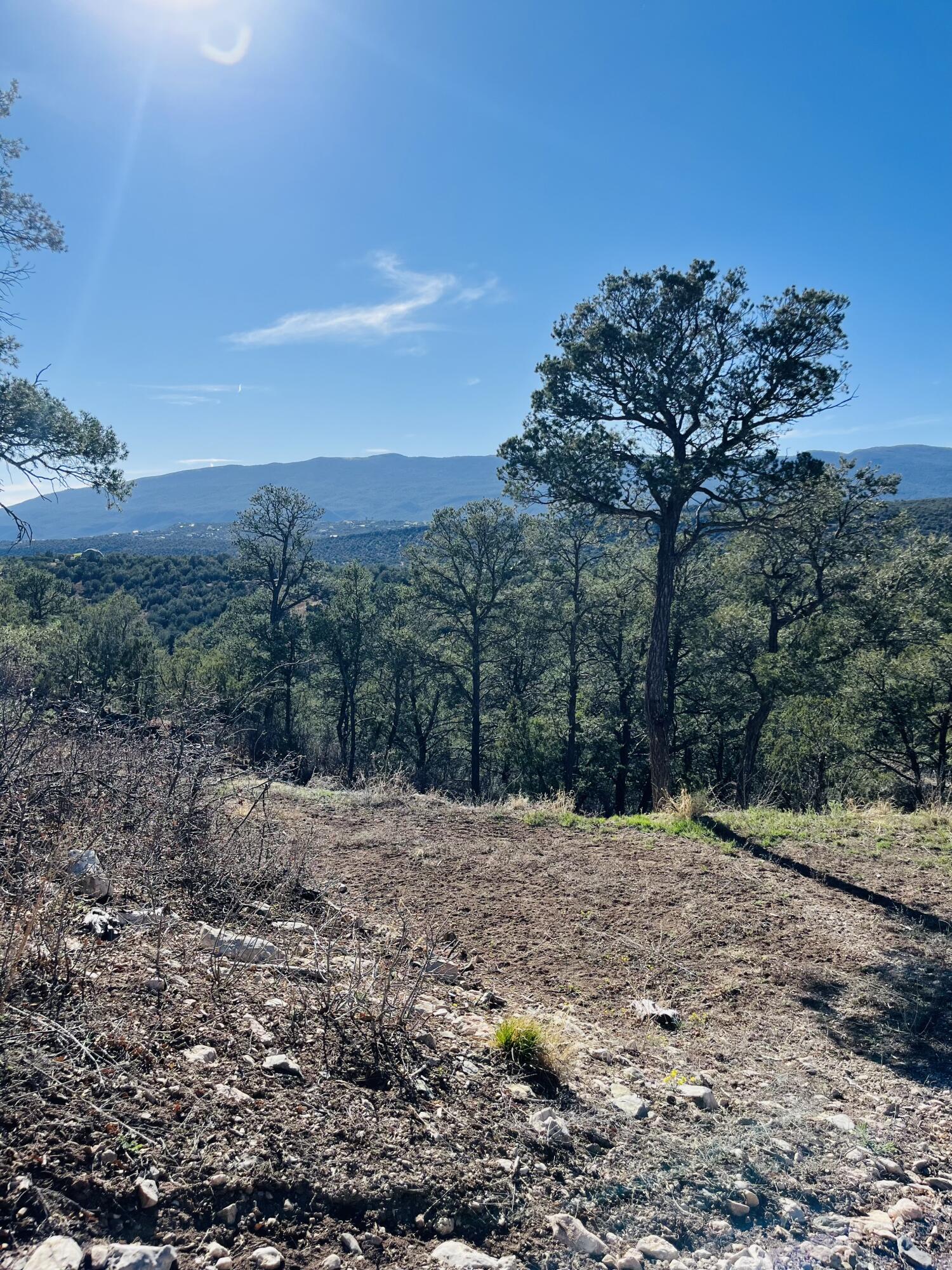 31 Camino Del Poniente