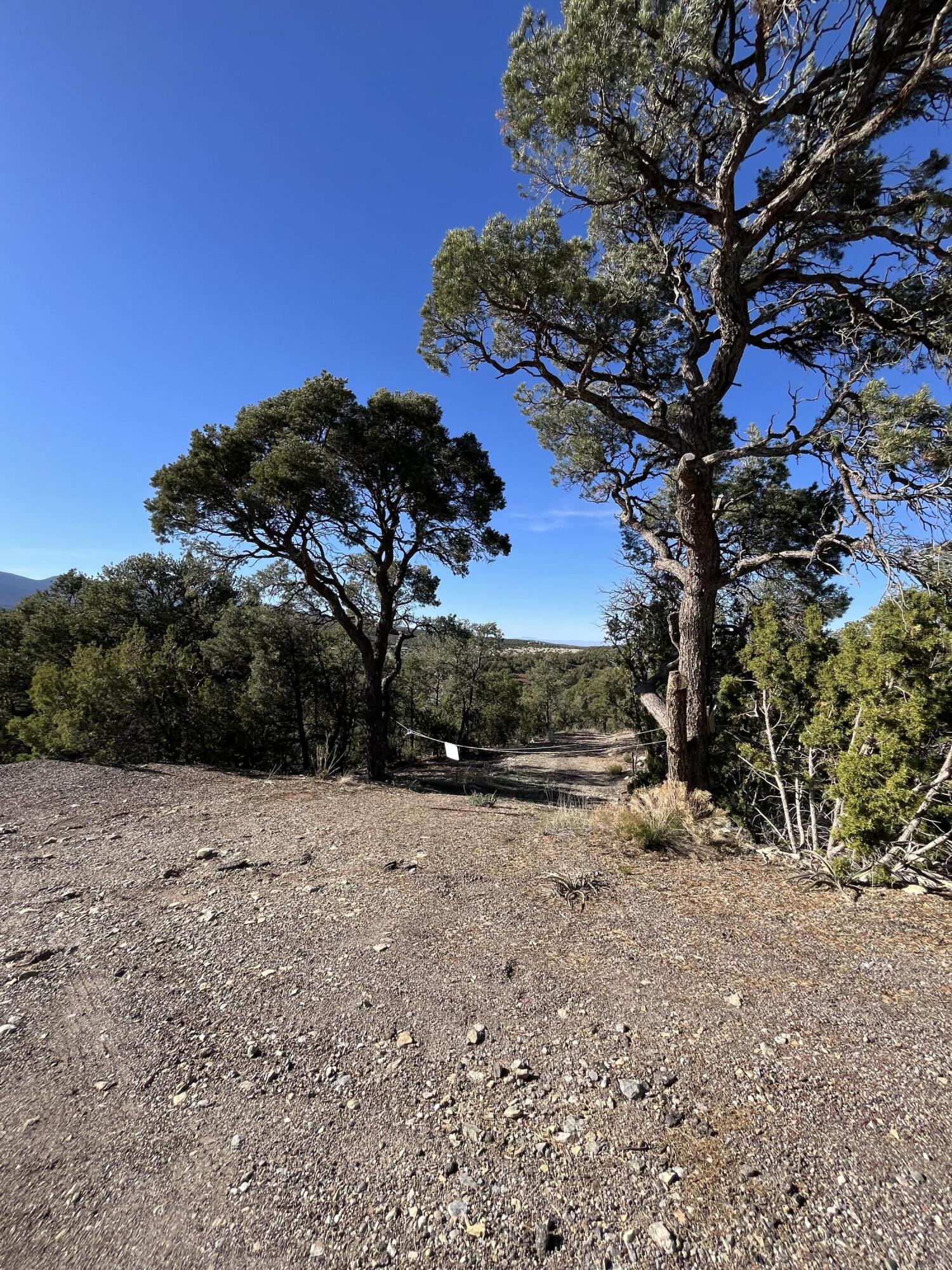 31 Camino Del Poniente
