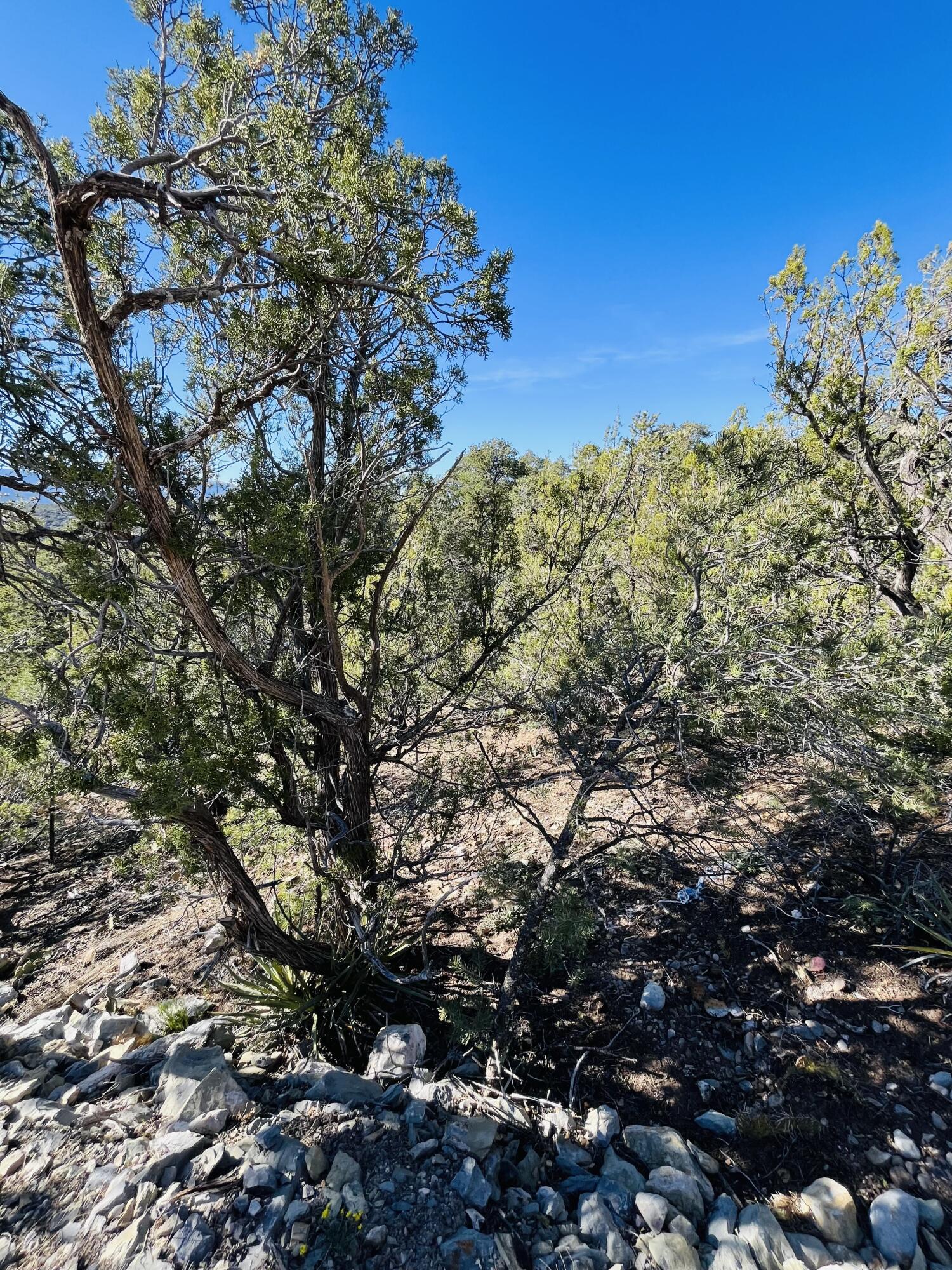 31 Camino Del Poniente