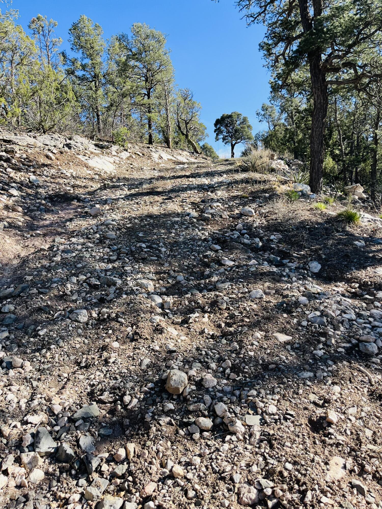 31 Camino Del Poniente