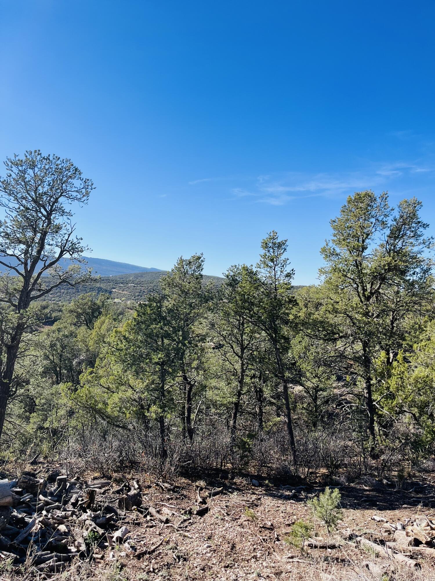 31 Camino Del Poniente