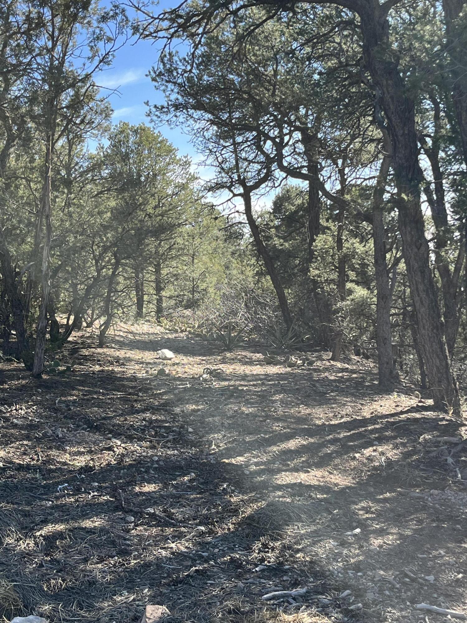 31 Camino Del Poniente