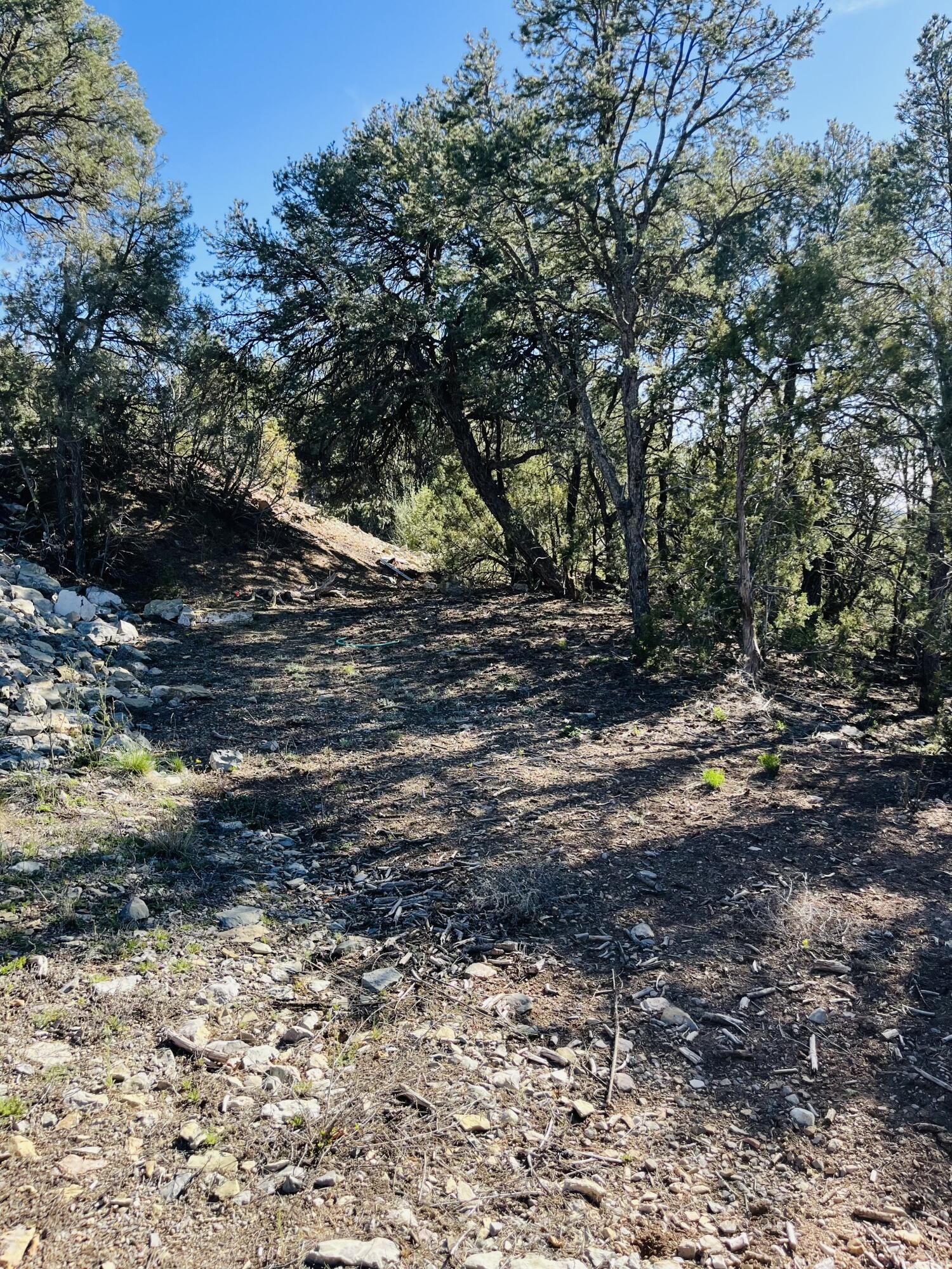 31 Camino Del Poniente