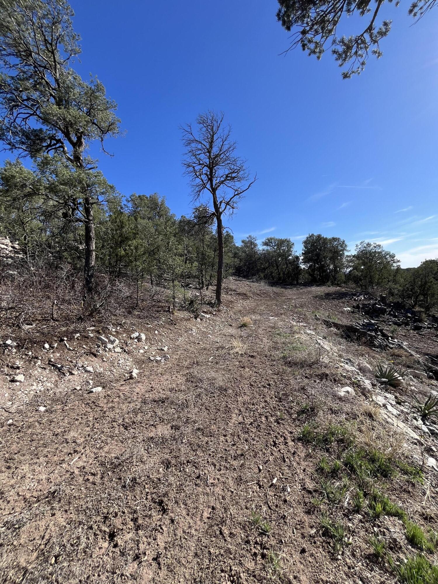 31 Camino Del Poniente