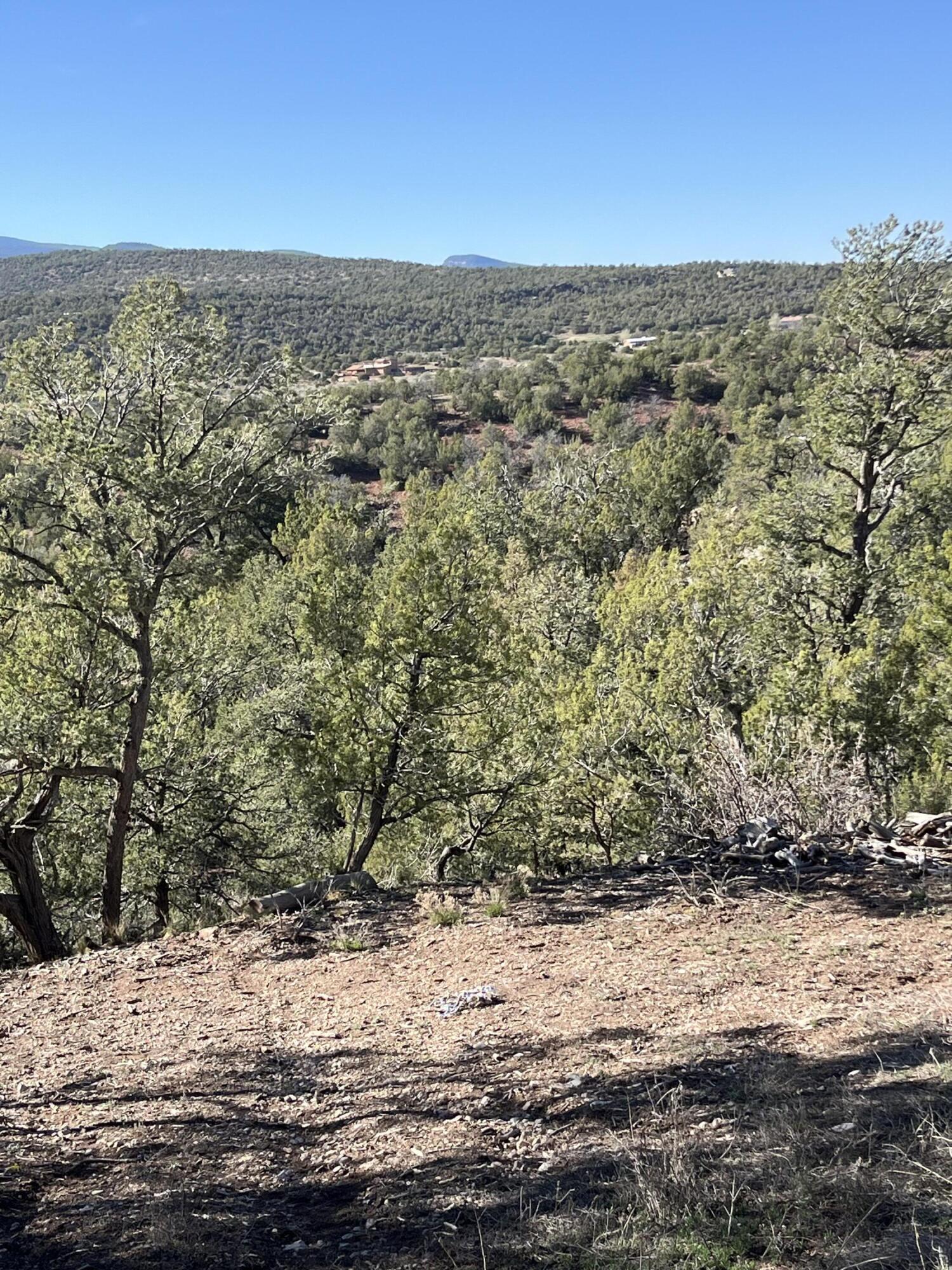 31 Camino Del Poniente