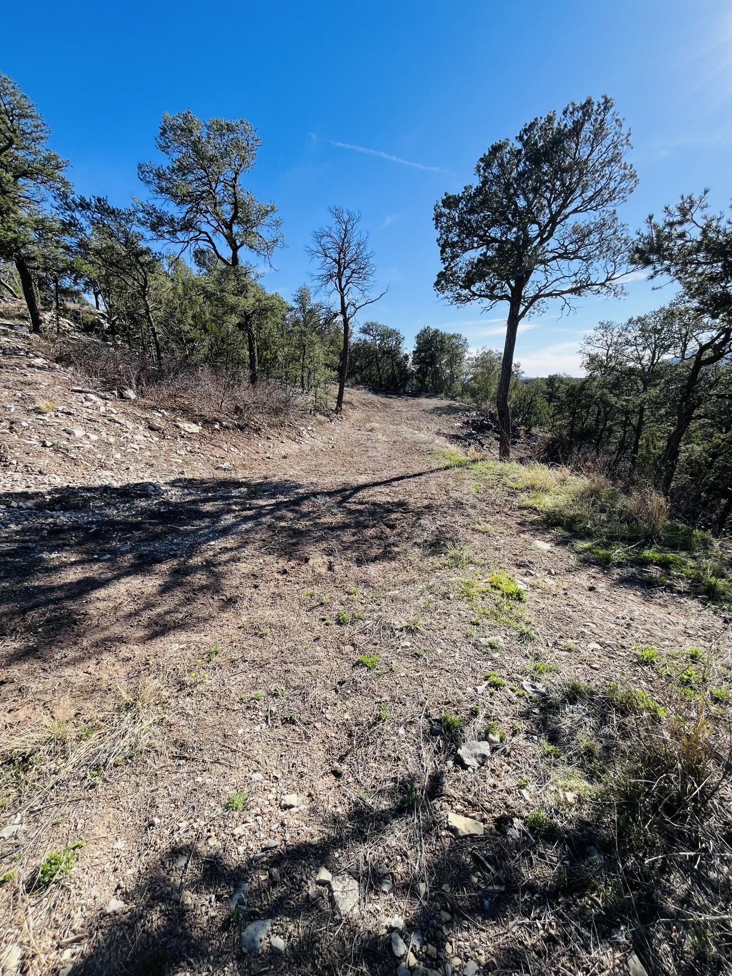 31 Camino Del Poniente