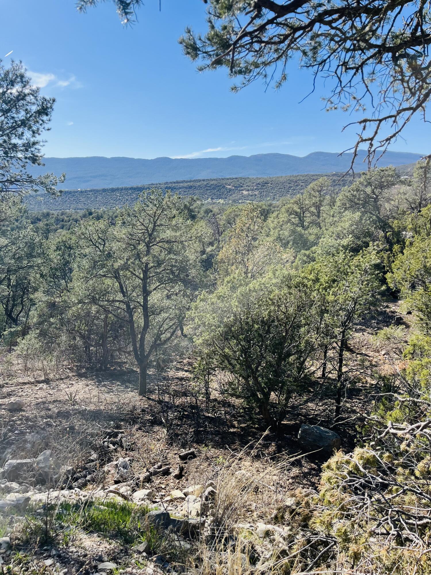 31 Camino Del Poniente