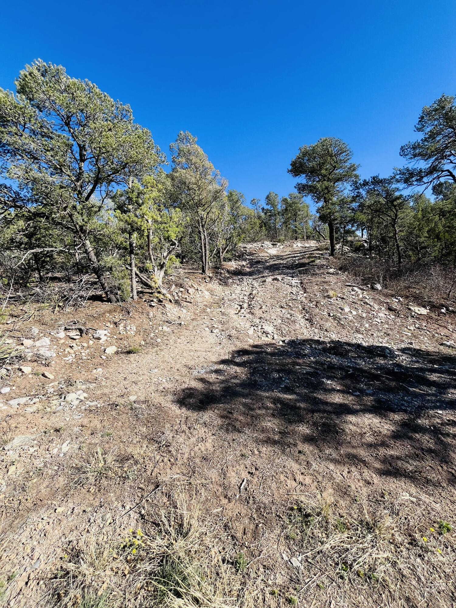 31 Camino Del Poniente