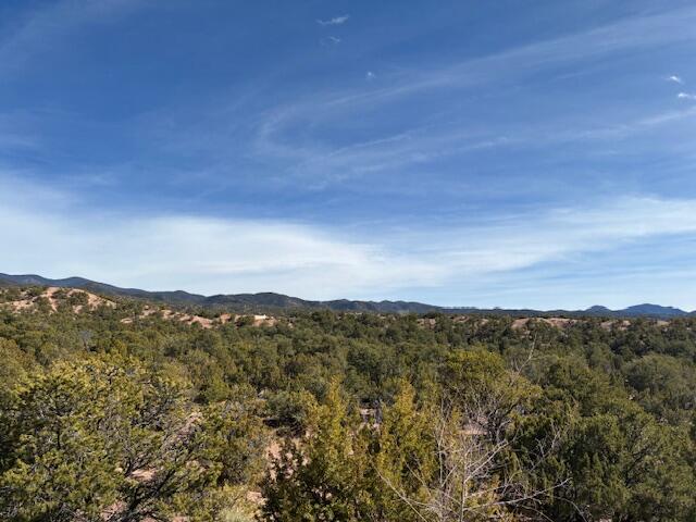20 Cerro De Palomas