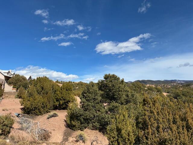 20 Cerro De Palomas