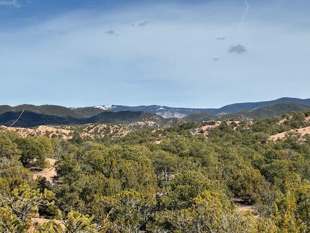 20 Cerro De Palomas