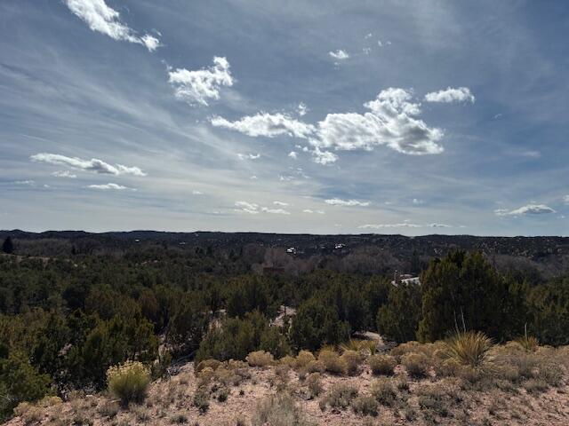 20 Cerro De Palomas