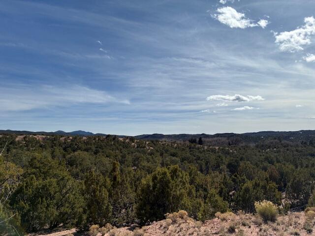 20 Cerro De Palomas