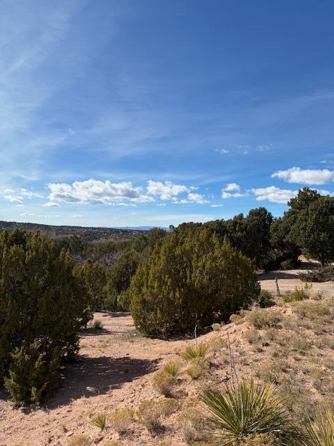 20 Cerro De Palomas