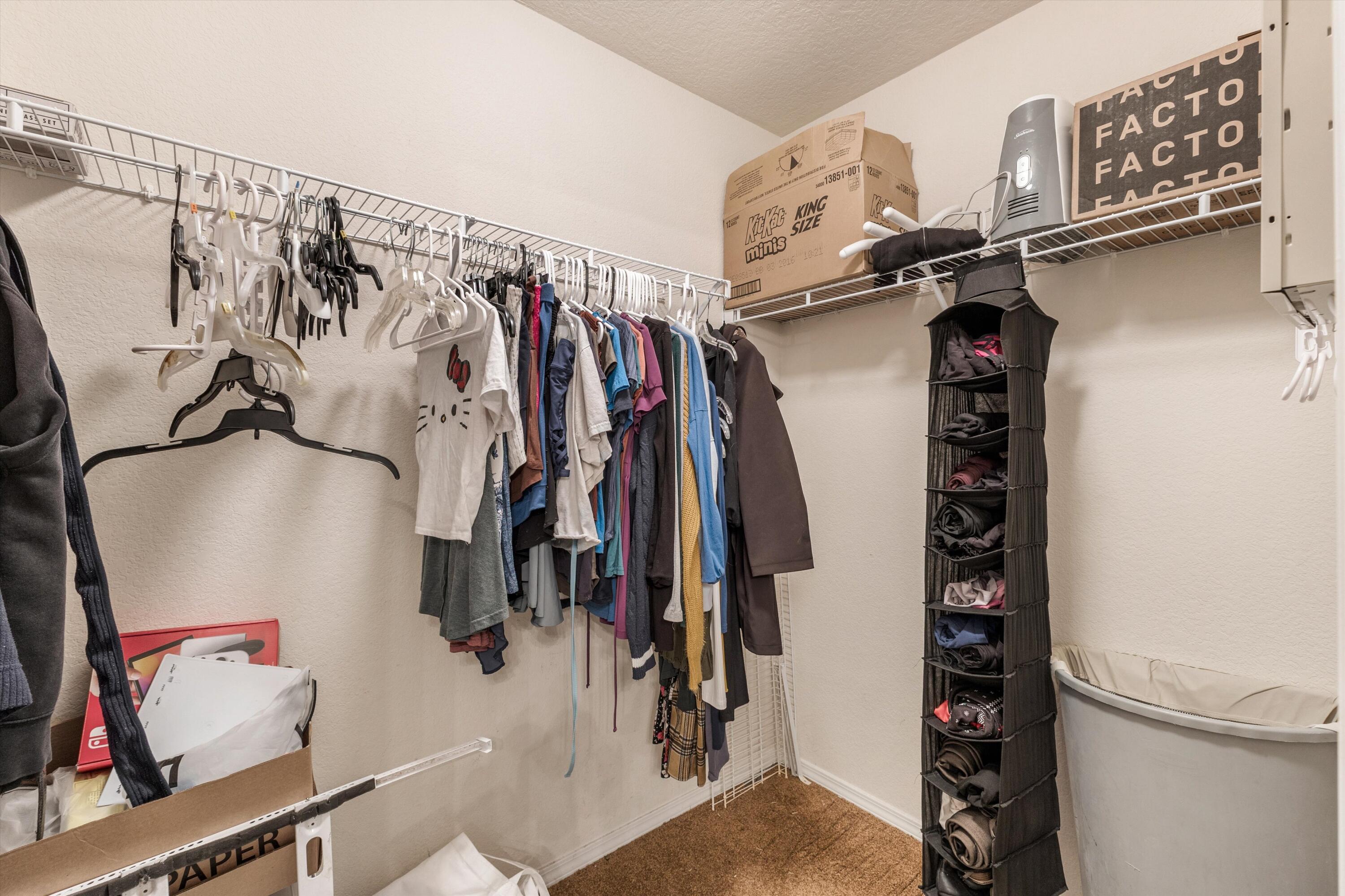 3135 Primo Colores Street