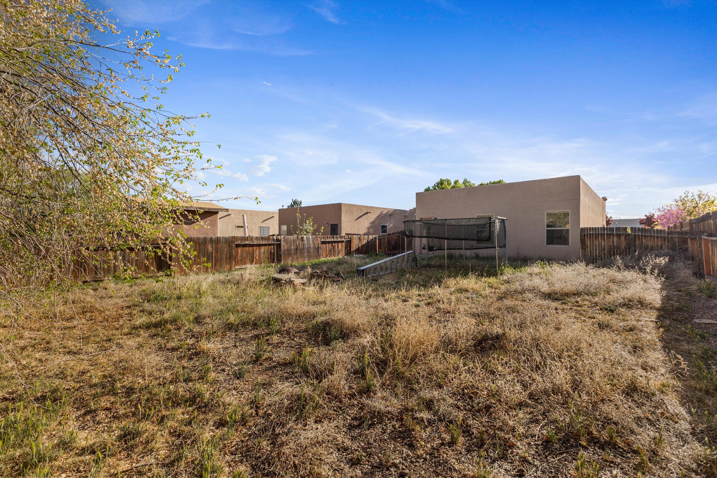 3135 Primo Colores Street