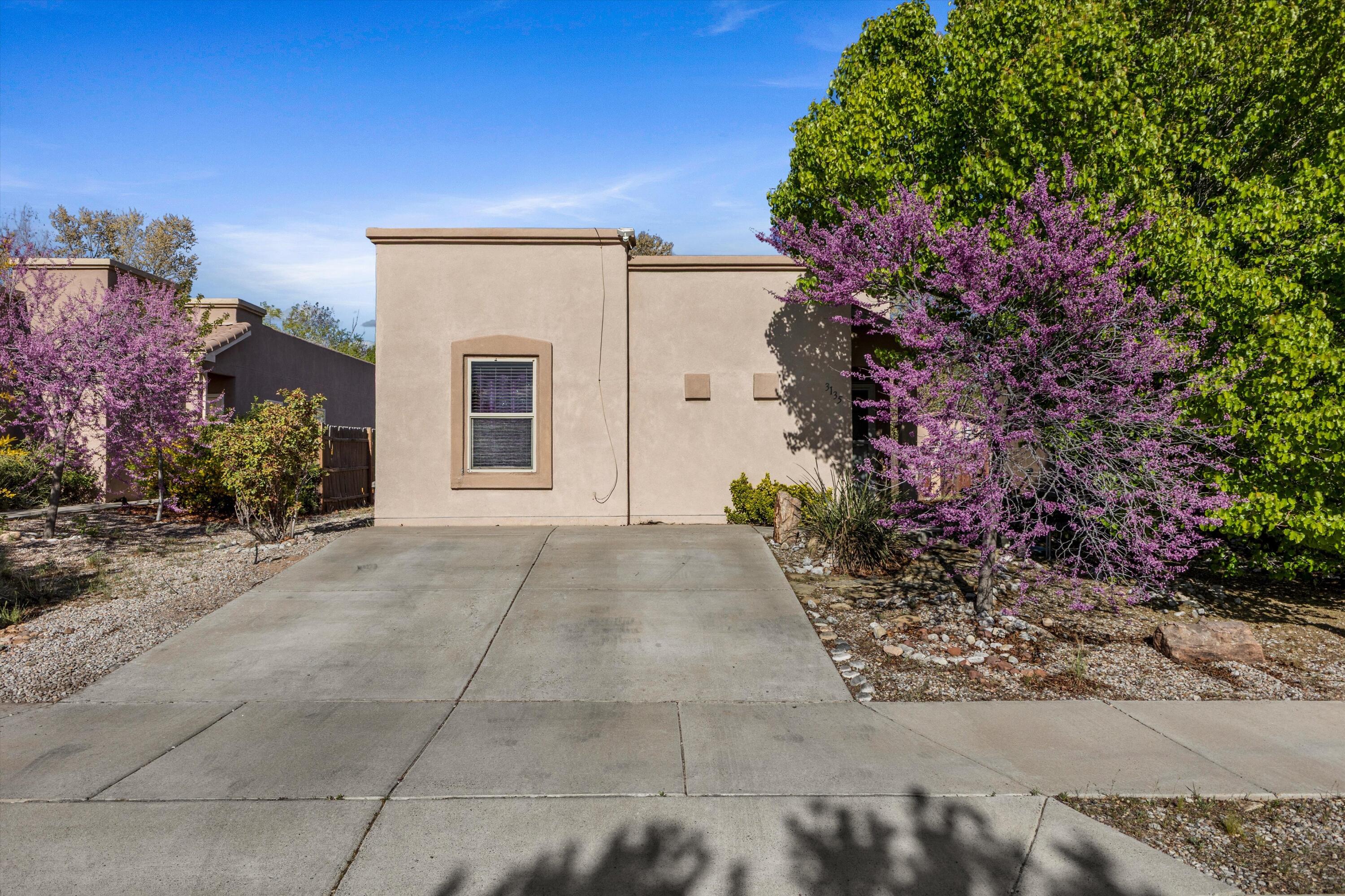 3135 Primo Colores Street