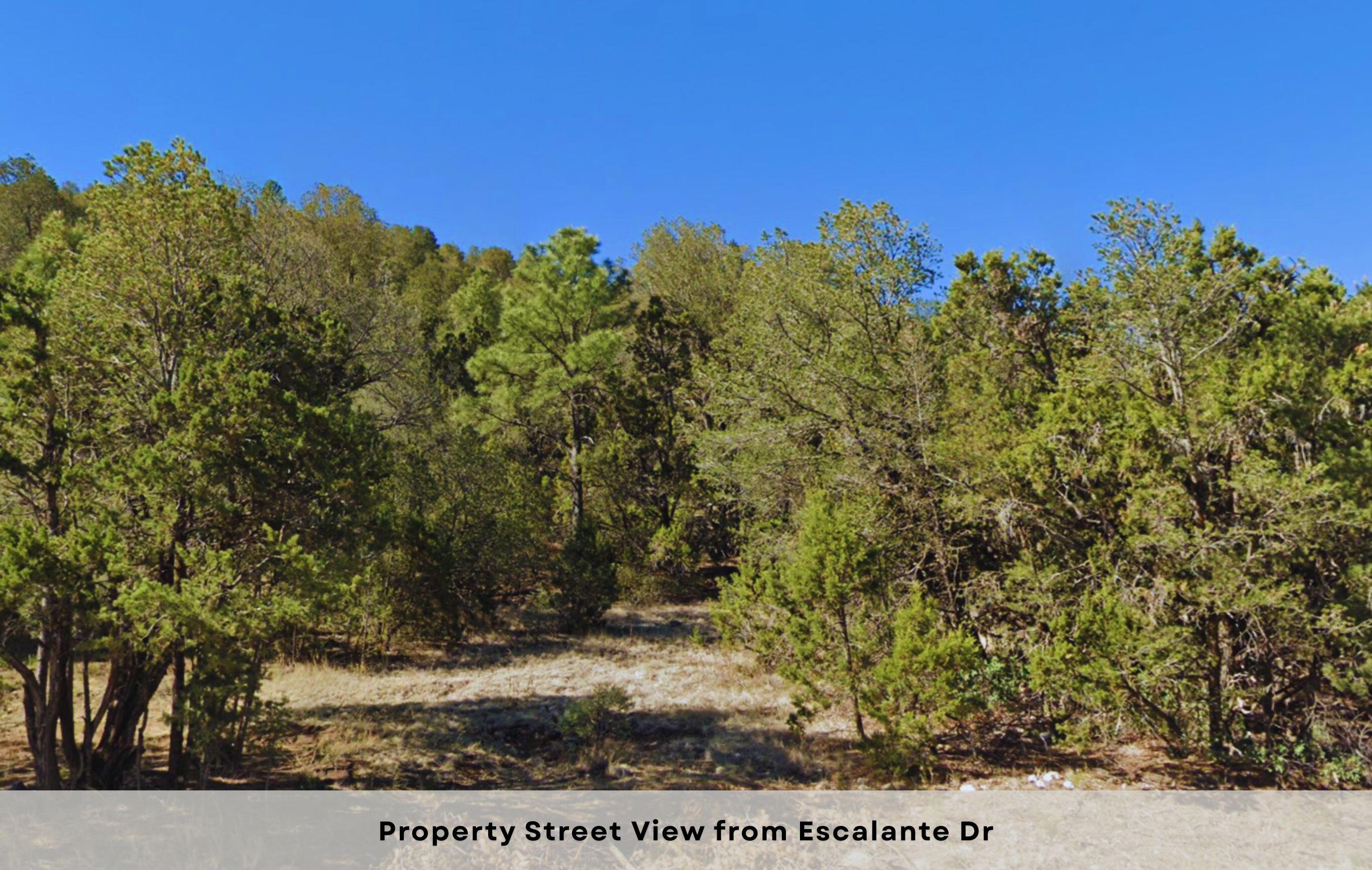 213 Escalante Drive