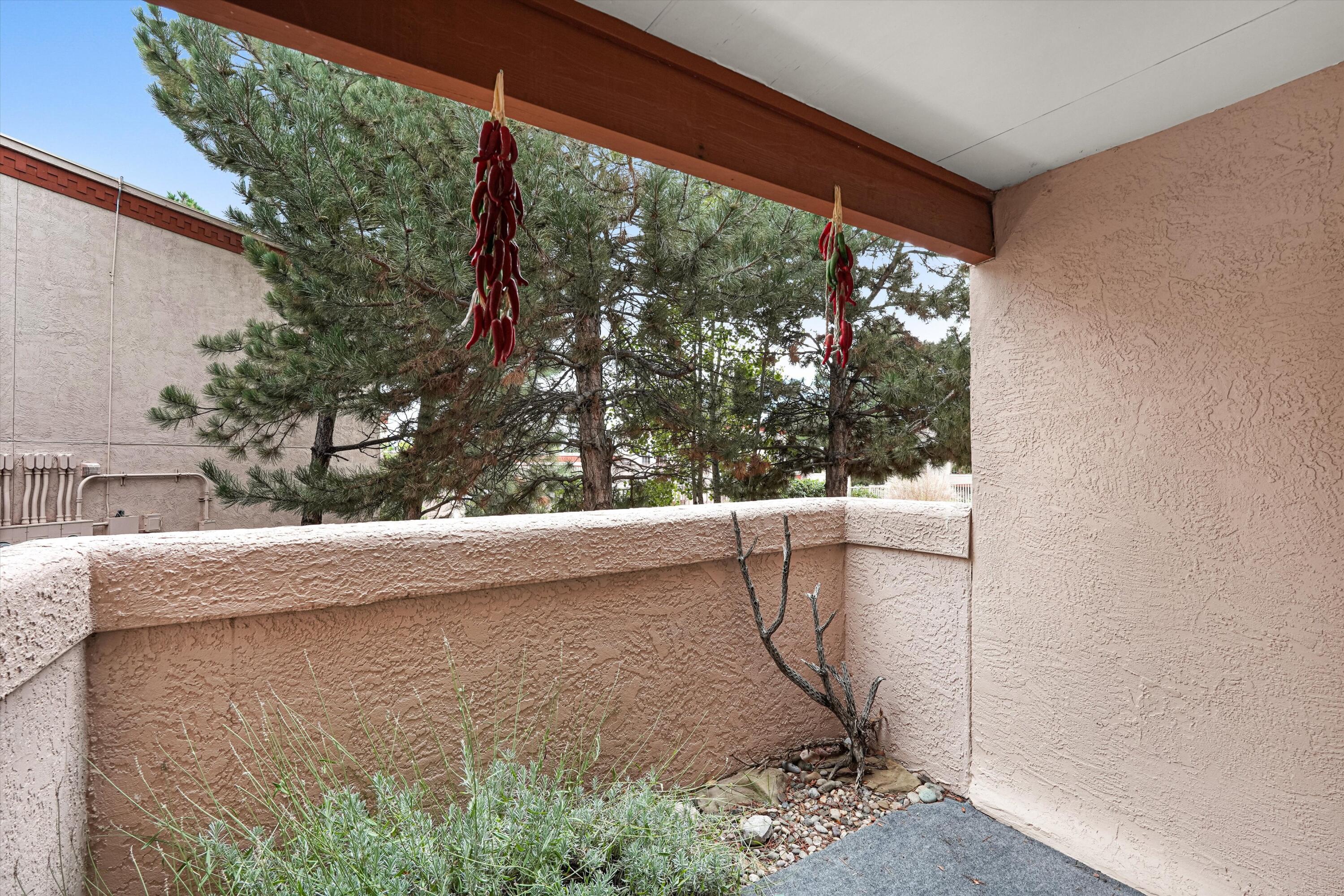 2501 W Zia Road APT 9112
