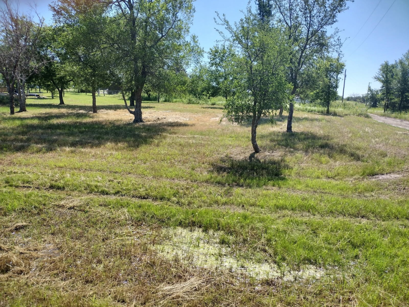 140 May Reed Drive