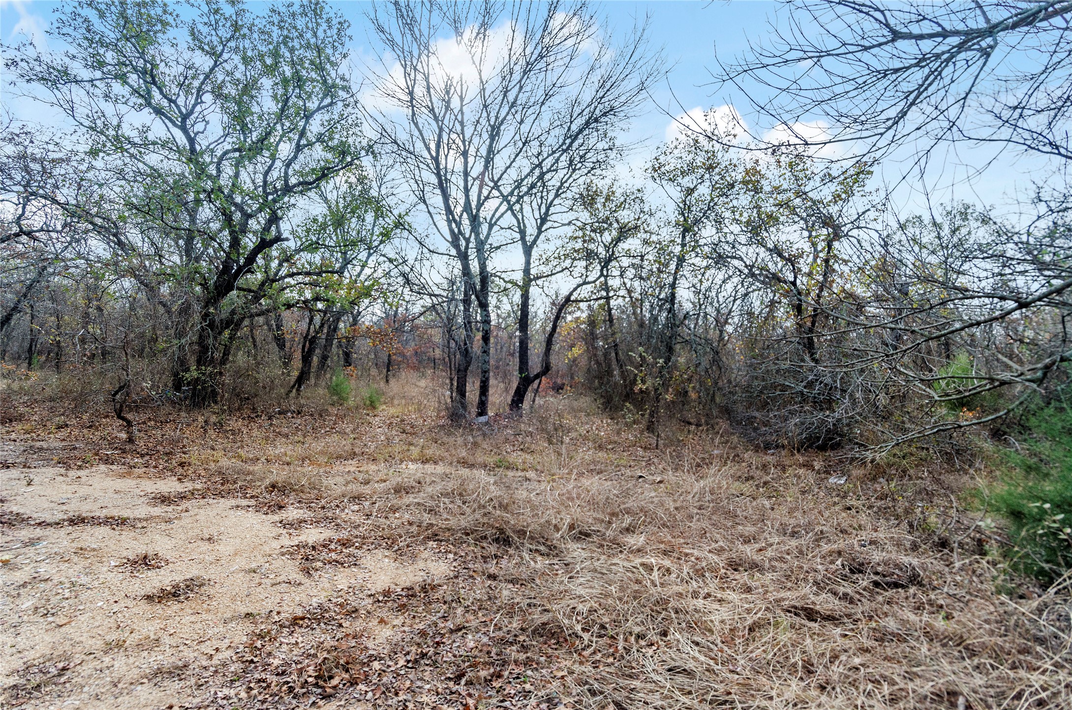 289 County Road 1661