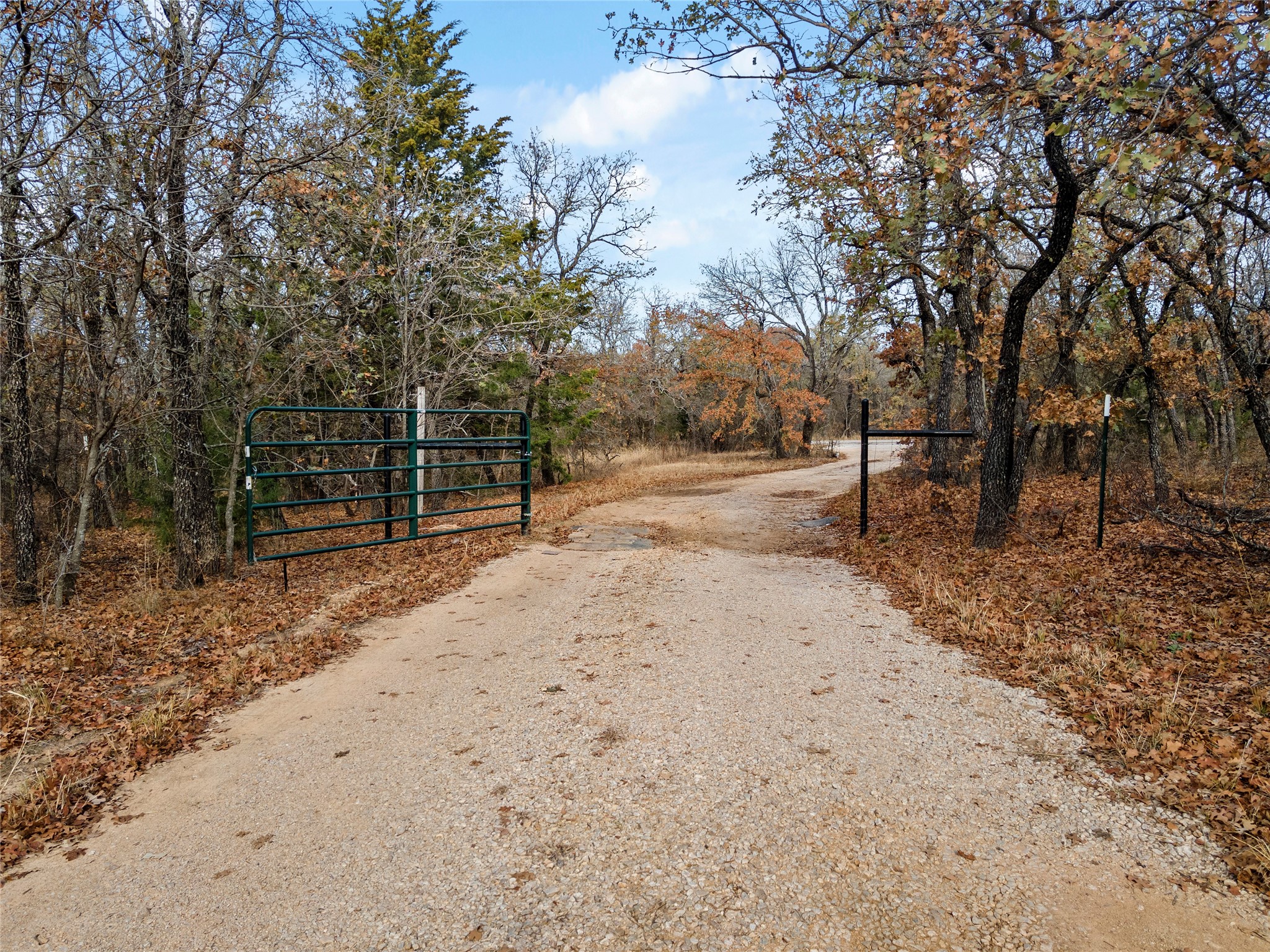 289 County Road 1661