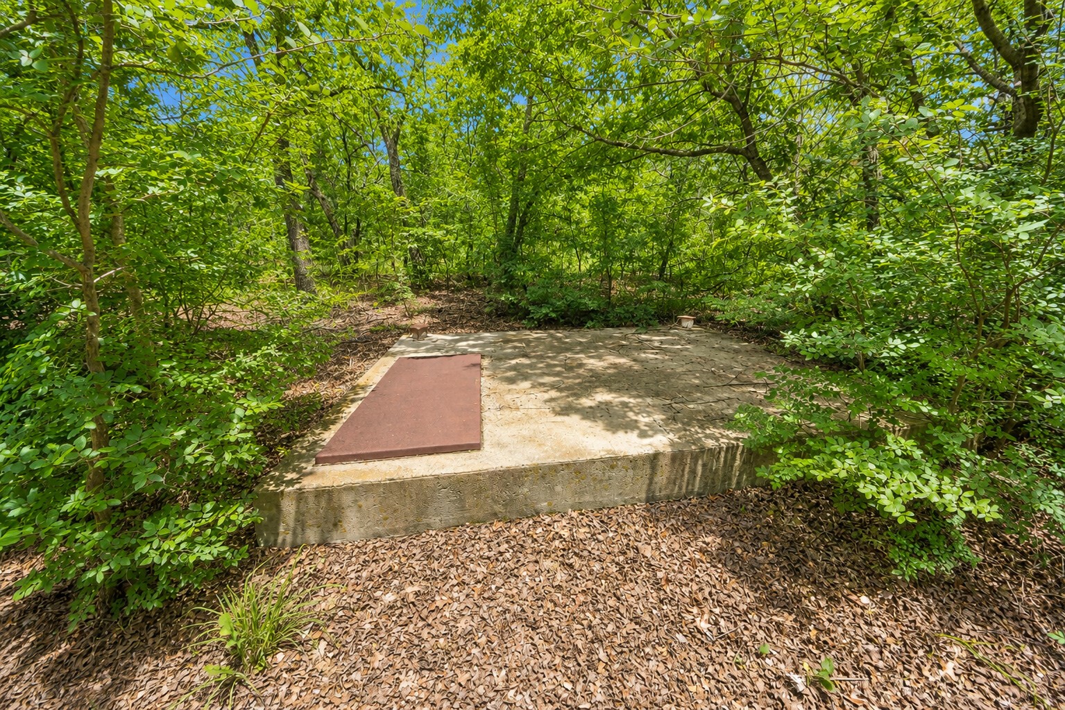 289 County Road 1661