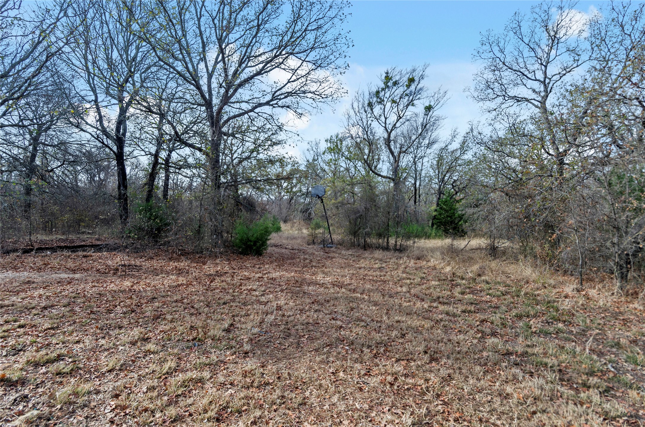 289 County Road 1661