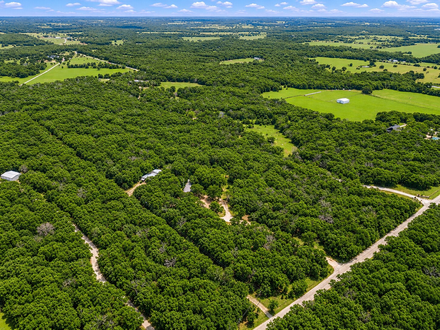 289 County Road 1661