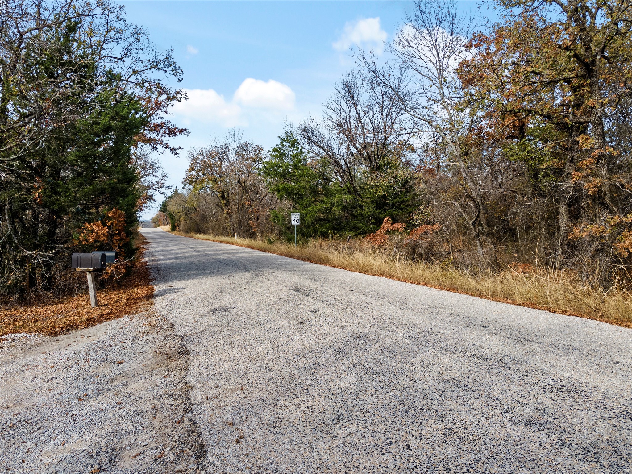 289 County Road 1661