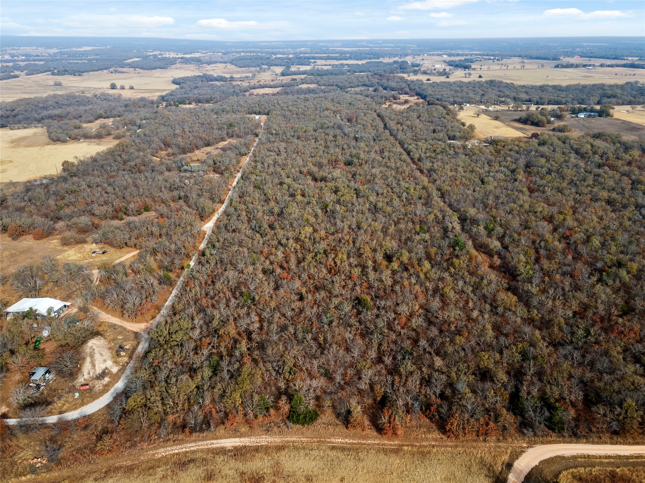 289 County Road 1661