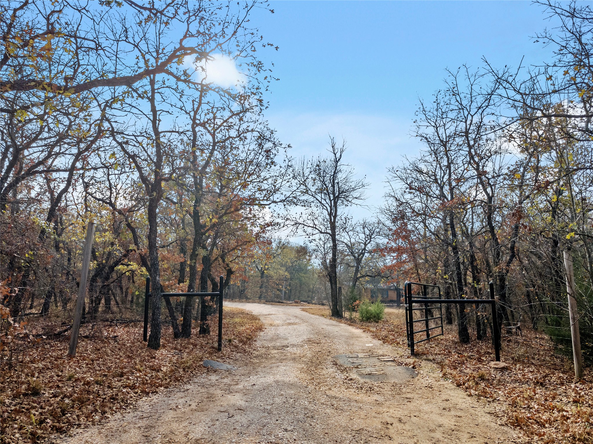 289 County Road 1661