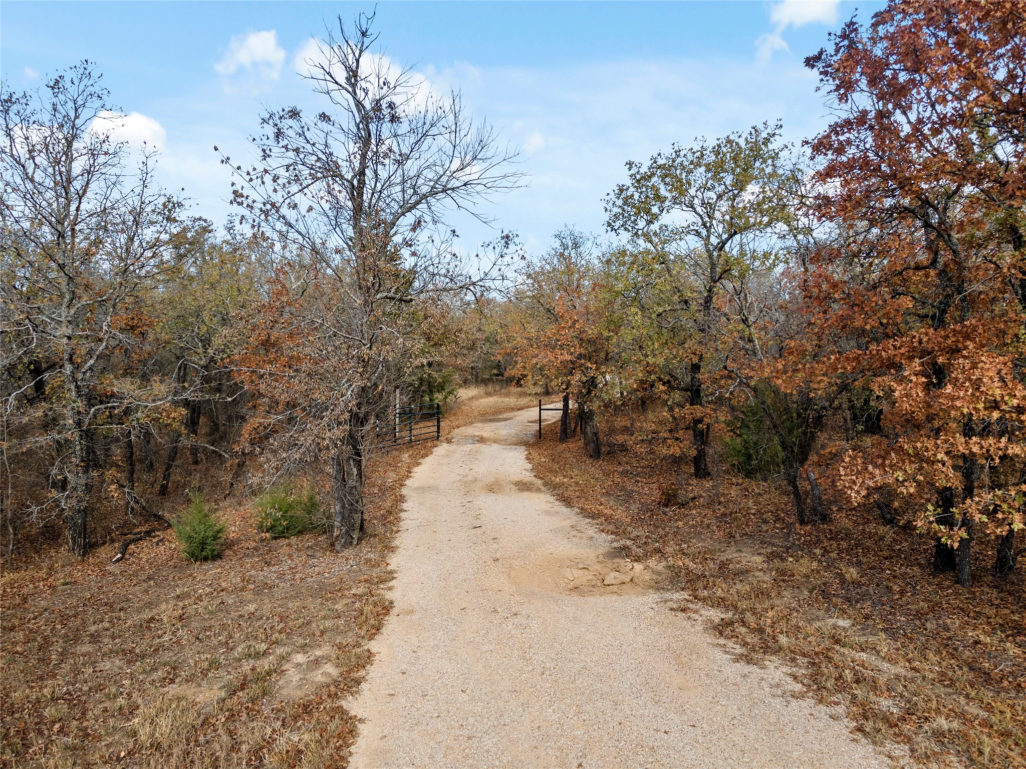 289 County Road 1661