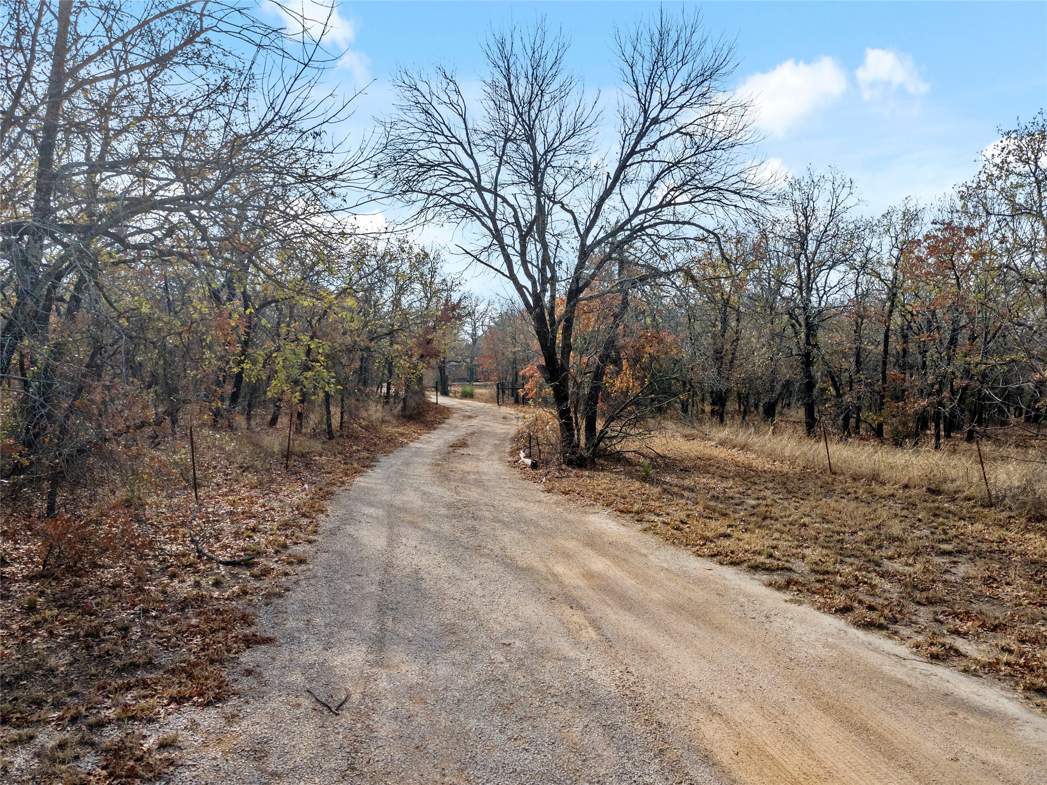 289 County Road 1661