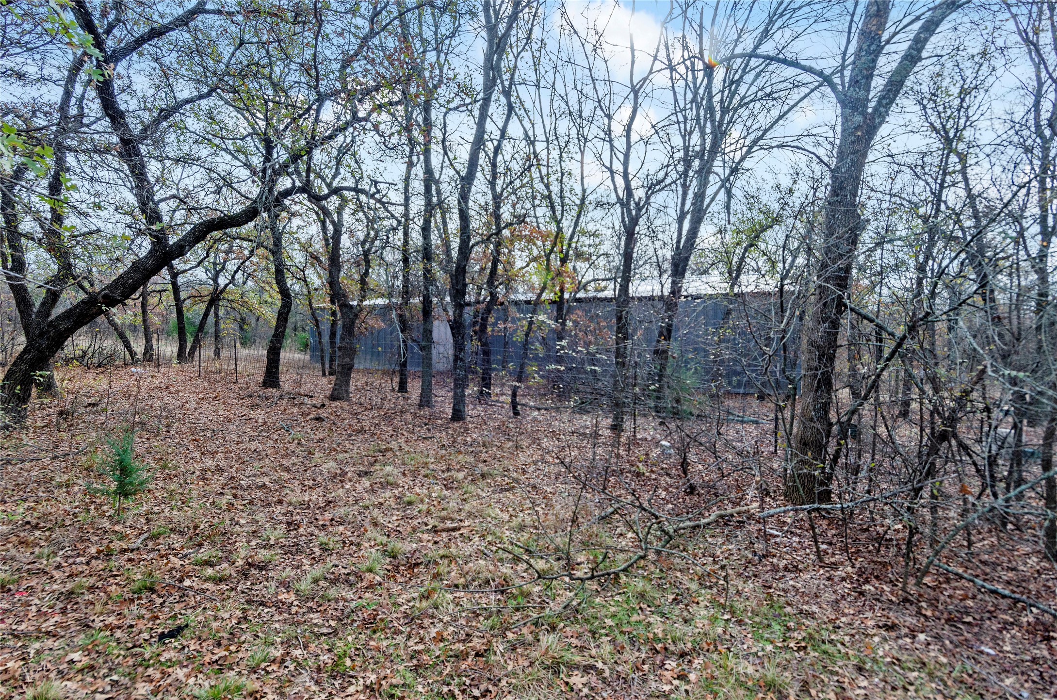 289 County Road 1661