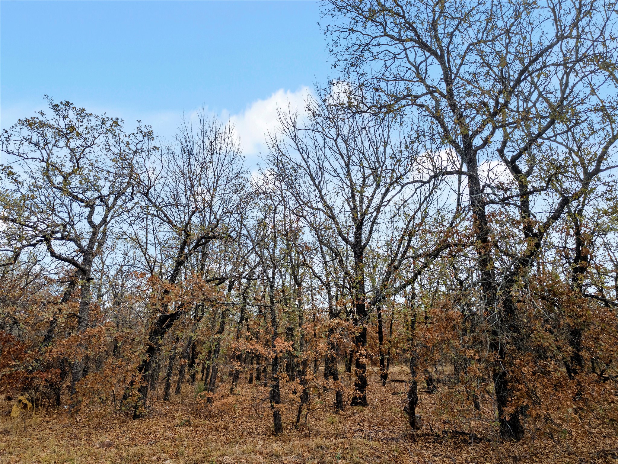 289 County Road 1661
