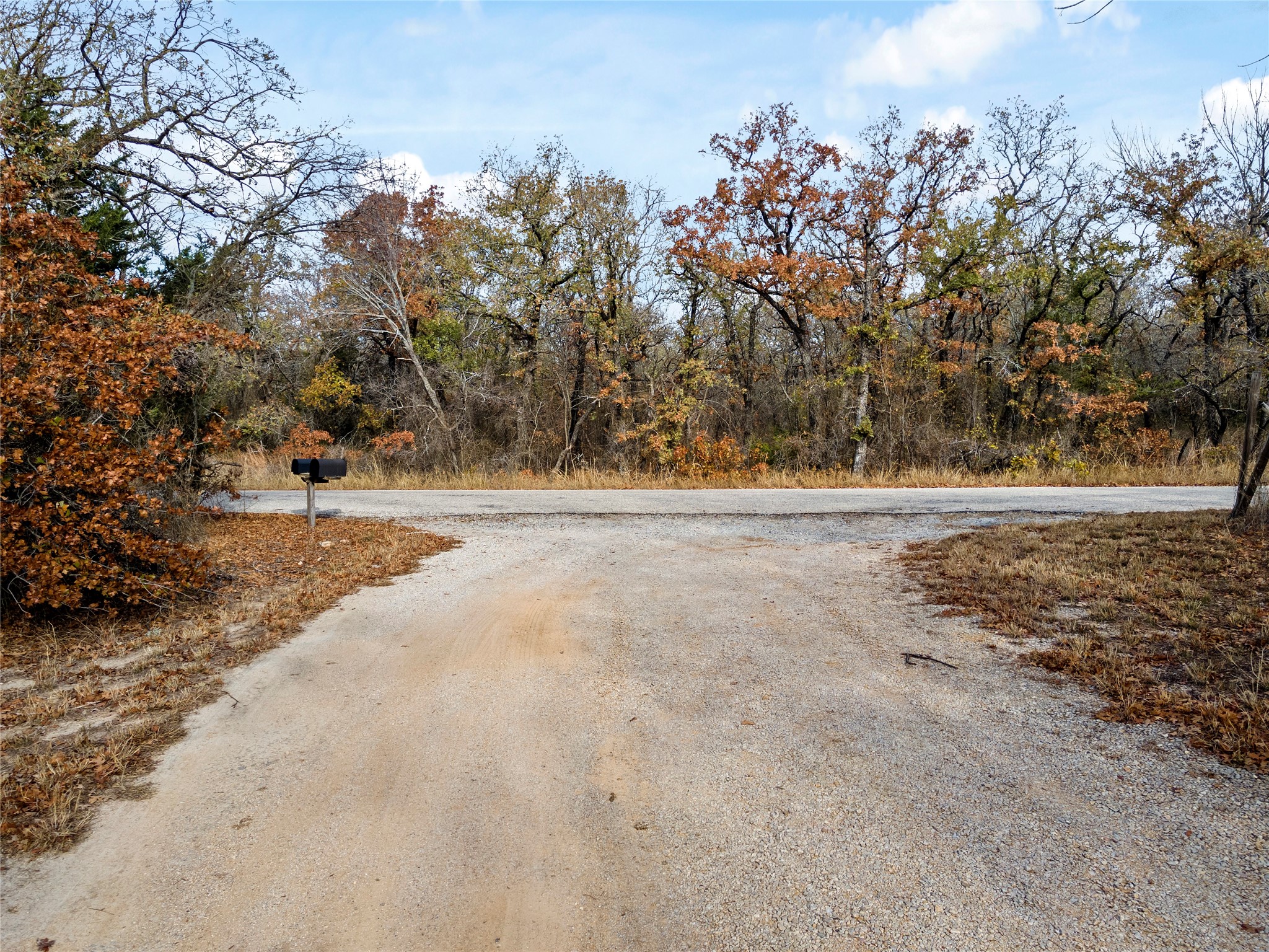 289 County Road 1661