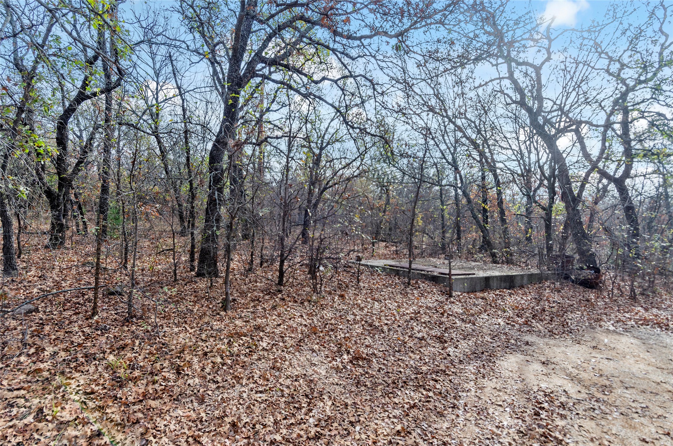 289 County Road 1661