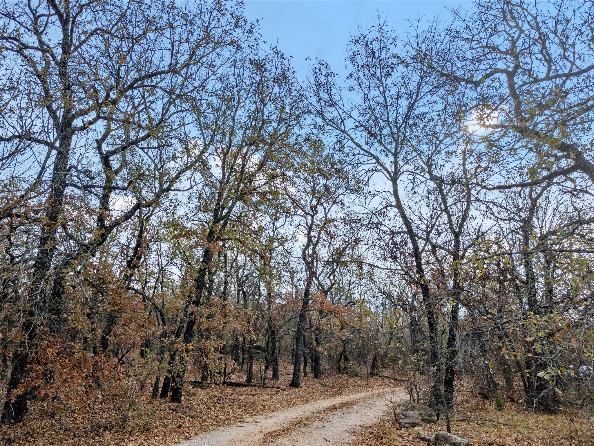 289 County Road 1661